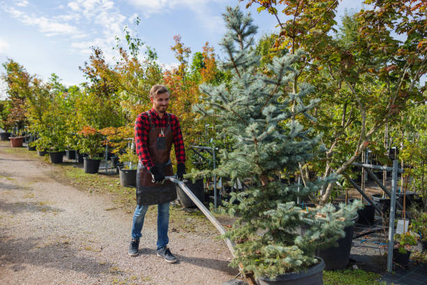 Best Weed Control  in Arlington, TN